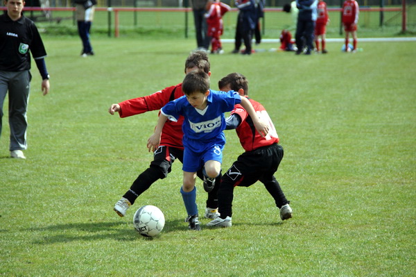 DSC_0054_resize.jpg