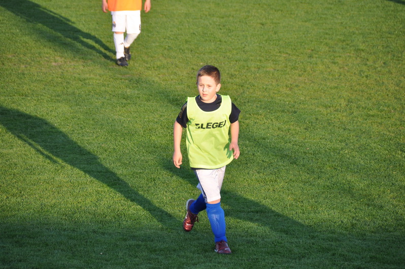 DSC_0031_resize.JPG