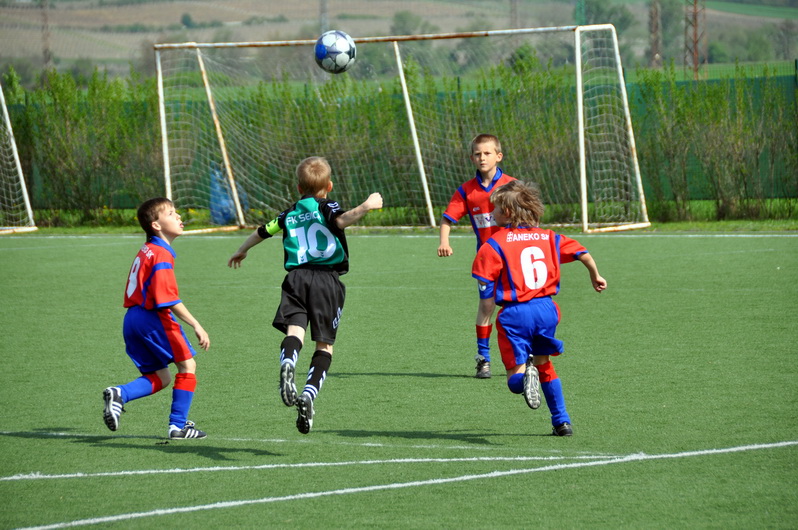 DSC_0065_resize.JPG