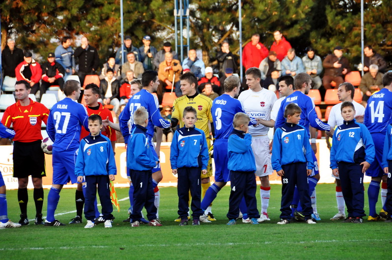 Vyvádzanie ViOn - BB_10.jpg
